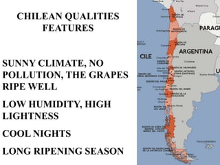 CHILEAN QUALITIES
FEATURES
SUNNY CLIMATE, NO
POLLUTION, THE GRAPES
RIPE WELL
LOW HUMIDITY, HIGH
LIGHTNESS
COOL NIGHTS
LONG RIPENING SEASON
 