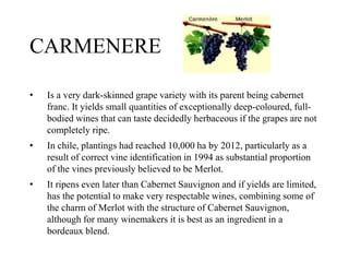 CARMENERE
• Is a very dark-skinned grape variety with its parent being cabernet
franc. It yields small quantities of exceptionally deep-coloured, full-
bodied wines that can taste decidedly herbaceous if the grapes are not
completely ripe.
• In chile, plantings had reached 10,000 ha by 2012, particularly as a
result of correct vine identification in 1994 as substantial proportion
of the vines previously believed to be Merlot.
• It ripens even later than Cabernet Sauvignon and if yields are limited,
has the potential to make very respectable wines, combining some of
the charm of Merlot with the structure of Cabernet Sauvignon,
although for many winemakers it is best as an ingredient in a
bordeaux blend.
 