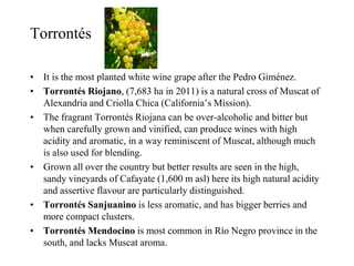 • It is the most planted white wine grape after the Pedro Giménez.
• Torrontés Riojano, (7,683 ha in 2011) is a natural cross of Muscat of
Alexandria and Criolla Chica (California’s Mission).
• The fragrant Torrontés Riojana can be over-alcoholic and bitter but
when carefully grown and vinified, can produce wines with high
acidity and aromatic, in a way reminiscent of Muscat, although much
is also used for blending.
• Grown all over the country but better results are seen in the high,
sandy vineyards of Cafayate (1,600 m asl) here its high natural acidity
and assertive flavour are particularly distinguished.
• Torrontés Sanjuanino is less aromatic, and has bigger berries and
more compact clusters.
• Torrontés Mendocino is most common in Río Negro province in the
south, and lacks Muscat aroma.
Torrontés
 