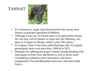 • It’s a distinctive, tough, deep black-berried vine variety most
famous as principal ingredient in Madiran.
• Although it may owe its French name to its high tannin content,
the vine may well be Basque in origin and, like Manseng, was
taken to Uruguay by Basque settlers in the 19th century.
• In Uruguay, where it has been called Harriague after its original
promulgator, there were more than 1,800 ha in 2013.
• Strategies for softening the grapes’ tannins include blending with
such grapes as Pinot Noir and Merlot as well as all the usual
winemaking techniques (short maceration, and micro-
oxygenation). Port and Beaujolais styles have also been made
from it.
TANNAT
 
