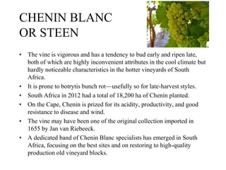 • The vine is vigorous and has a tendency to bud early and ripen late,
both of which are highly inconvenient attributes in the cool climate but
hardly noticeable characteristics in the hotter vineyards of South
Africa.
• It is prone to botrytis bunch rot—usefully so for late-harvest styles.
• South Africa in 2012 had a total of 18,200 ha of Chenin planted.
• On the Cape, Chenin is prized for its acidity, productivity, and good
resistance to disease and wind.
• The vine may have been one of the original collection imported in
1655 by Jan van Riebeeck.
• A dedicated band of Chenin Blanc specialists has emerged in South
Africa, focusing on the best sites and on restoring to high-quality
production old vineyard blocks.
CHENIN BLANC
OR STEEN
 