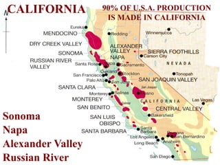 CALIFORNIA
Sonoma
Napa
Alexander Valley
Russian River
90% OF U.S.A. PRODUCTION
IS MADE IN CALIFORNIA
 