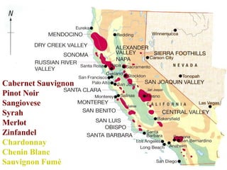 Cabernet Sauvignon
Pinot Noir
Sangiovese
Syrah
Merlot
Zinfandel
Chardonnay
Chenin Blanc
Sauvignon Fumè
 