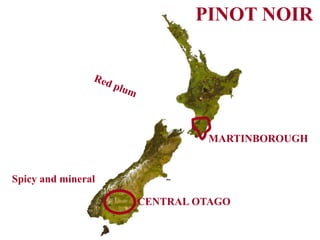MARTINBOROUGH
CENTRAL OTAGO
PINOT NOIR
Spicy and mineral
 