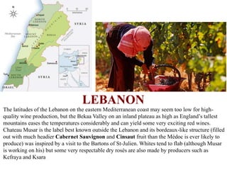 LEBANON
The latitudes of the Lebanon on the eastern Mediterranean coast may seem too low for high-
quality wine production, but the Bekaa Valley on an inland plateau as high as England’s tallest
mountains eases the temperatures considerably and can yield some very exciting red wines.
Chateau Musar is the label best known outside the Lebanon and its bordeaux-like structure (filled
out with much headier Cabernet Sauvignon and Cinsaut fruit than the Médoc is ever likely to
produce) was inspired by a visit to the Bartons of St-Julien. Whites tend to flab (although Musar
is working on his) but some very respectable dry rosés are also made by producers such as
Kefraya and Ksara
 
