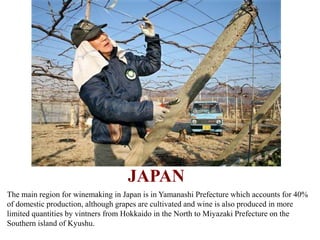 JAPAN
The main region for winemaking in Japan is in Yamanashi Prefecture which accounts for 40%
of domestic production, although grapes are cultivated and wine is also produced in more
limited quantities by vintners from Hokkaido in the North to Miyazaki Prefecture on the
Southern island of Kyushu.
 