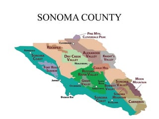 SONOMA COUNTY
 