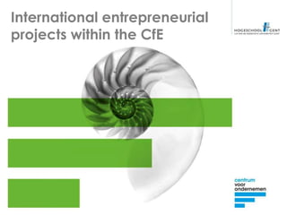International entrepreneurial
projects within the CfE
 