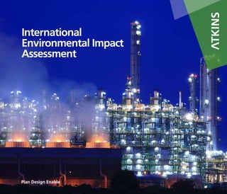 1
International
Environmental Impact
Assessment
 