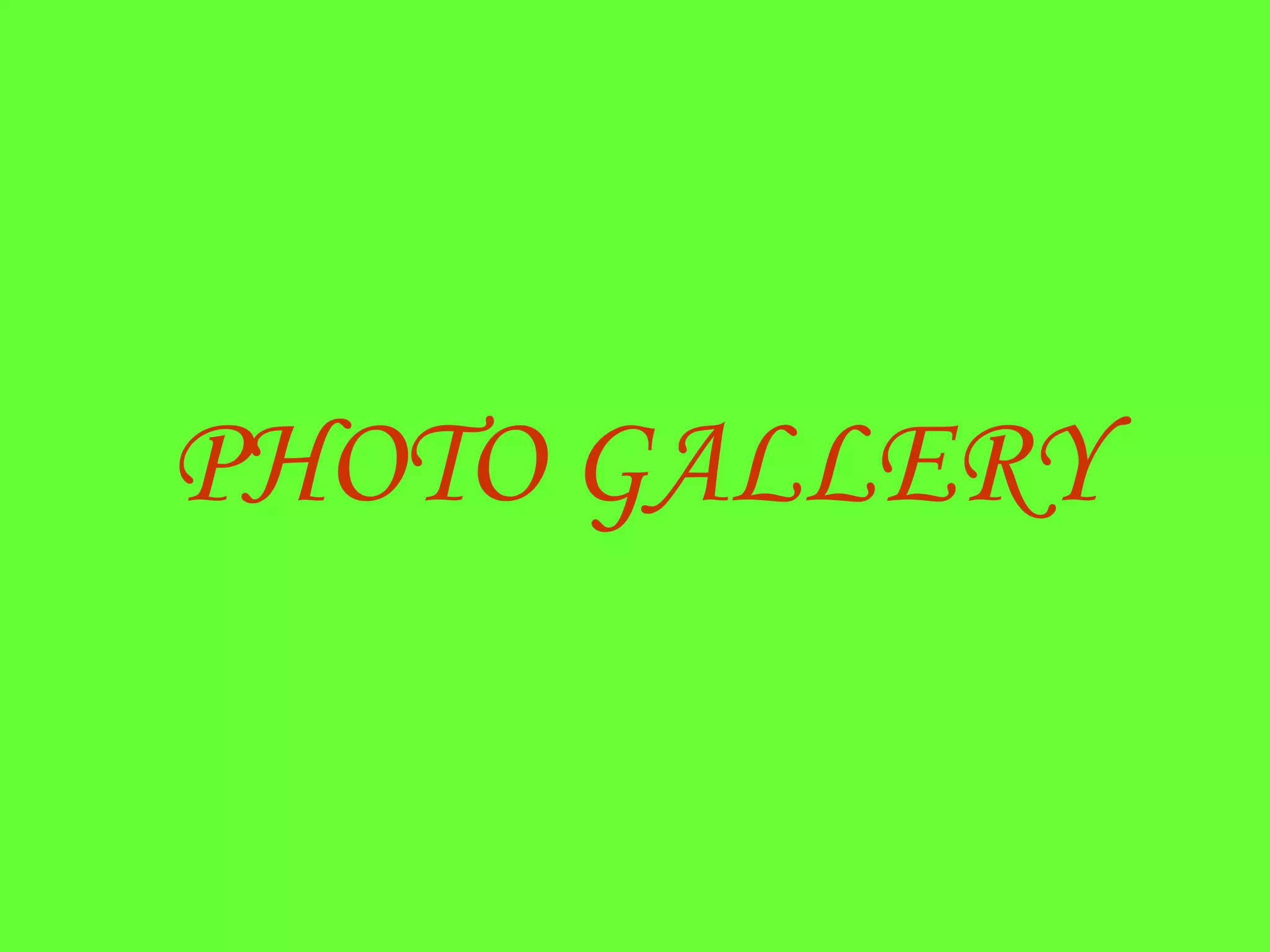 PHOTO GALLERY 