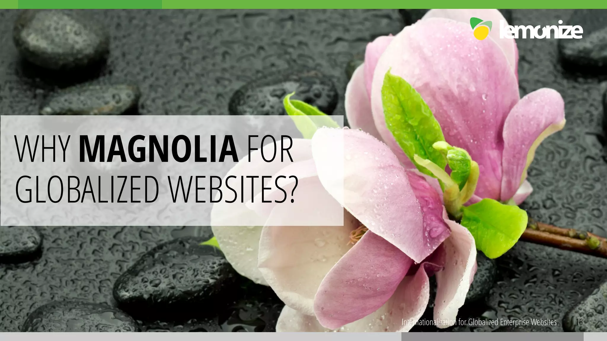 16Internationalization for Globalized Enterprise Websites
WHY MAGNOLIA FOR  
GLOBALIZED WEBSITES?
 