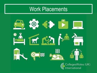 Work Placements
 