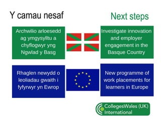 Y camau nesaf Next steps
 