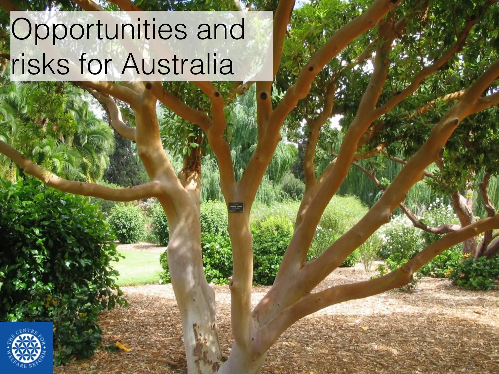 Opportunities and 
risks for Australia 
 
