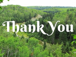 International logistics 