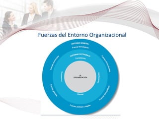 Fuerzas del Entorno Organizacional 