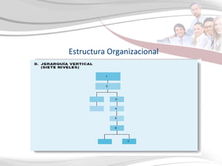 Estructura Organizacional 