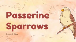 Passerine
Sparrows
B.Ngọc & Băng
 