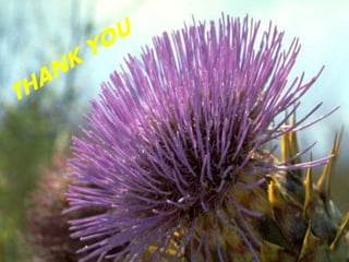 International monetary system