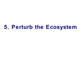 5. Perturb the Ecosystem 