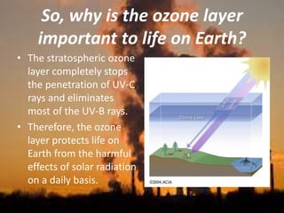 So, why is the ozone layer
important to life on Earth?
• The stratospheric ozone
layer completely stops
the penetration of UV-C
rays and eliminates
most of the UV-B rays.
• Therefore, the ozone
layer protects life on
Earth from the harmful
effects of solar radiation
on a daily basis.
 