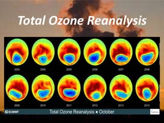 Total Ozone Reanalysis
 