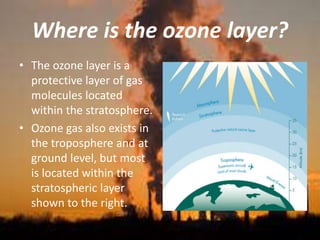 Where is the ozone layer?
• The ozone layer is a
protective layer of gas
molecules located
within the stratosphere.
• Ozone gas also exists in
the troposphere and at
ground level, but most
is located within the
stratospheric layer
shown to the right.
 