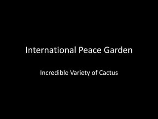 International Peace Garden

   Incredible Variety of Cactus
 