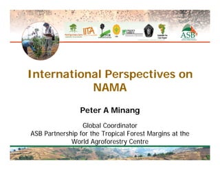 International Perspectives on
           NAMA
                 Peter A Minang
                    Global Coordinator
ASB Partnership audience toTropical Forest Margins at the
        Moving the
                   for the act
               World Agroforestry Centre
 