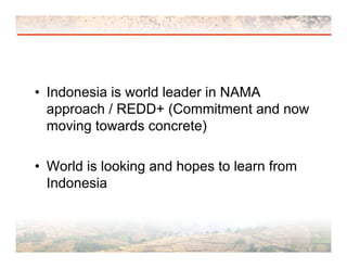 International perspectives of NAMA 
