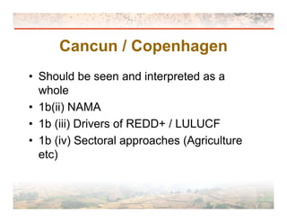 International perspectives of NAMA 