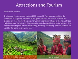Attractions and Tourism
Banaue rice terraces

The Banaue rice terraces are about 2000 years old. They were carved into the
mountains of Ifugao by ancesters of the igorot people. This means that the rice
terraces are man-made. There are many small traditional villages of the native tribes
called igorot on the terraces. There are also lots of waterfalls in the rice terraces. The
rice terraces are good for mountain biking, trecking and hiking. The rice terraces are
used by the igorot to grow rice too.




              Rice terraces                                Igorot people
 