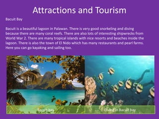 Attractions and Tourism
Bacuit Bay

Bacuit is a beautiful lagoon in Palawan. There is very good snorkeling and diving
because there are many coral reefs. There are also lots of interesting shipwrecks from
World War 2. There are many tropical islands with nice resorts and beaches inside the
lagoon. There is also the town of El Nido which has many restaurants and pearl farms.
Here you can go kayaking and sailing too.




                   Bacuit bay                                Diving in Bacuit bay
 