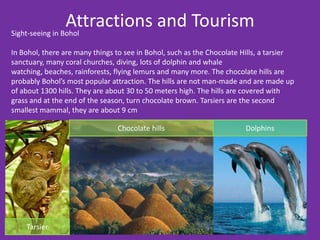 Attractions and Tourism
Sight-seeing in Bohol

In Bohol, there are many things to see in Bohol, such as the Chocolate Hills, a tarsier
sanctuary, many coral churches, diving, lots of dolphin and whale
watching, beaches, rainforests, flying lemurs and many more. The chocolate hills are
probably Bohol’s most popular attraction. The hills are not man-made and are made up
of about 1300 hills. They are about 30 to 50 meters high. The hills are covered with
grass and at the end of the season, turn chocolate brown. Tarsiers are the second
smallest mammal, they are about 9 cm

                                Chocolate hills                         Dolphins




    Tarsier
 