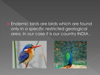  Endemic birds are birds which are found
only in a specific restricted geological
area. In our case it is our country IND...