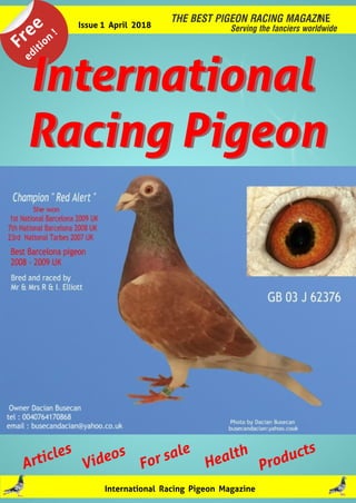 THE BEST PIGEON RACING MAGAZINE
Serving the fanciers worldwide
Free
edition
!
International
Racing Pigeon
International
Racing Pigeon
Issue 1 April 2018
International Racing Pigeon Magazine
Articles
Videos
For sale
Products
Health
 