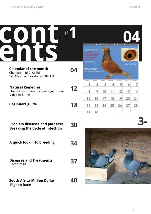 International Racing Pigeon Magazine