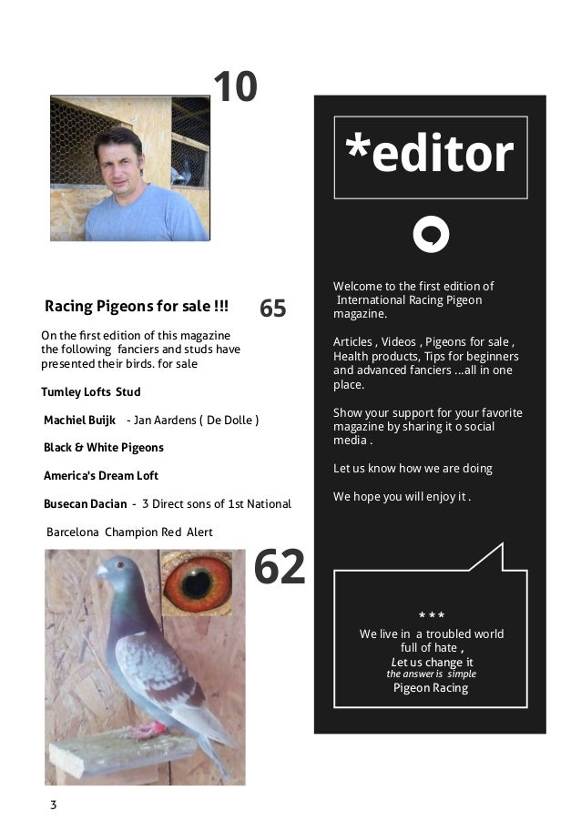 International Racing Pigeon Magazine