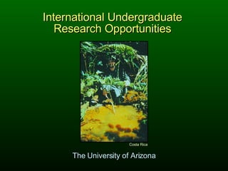 xxxx The University of Arizona Costa Rica Intern ational Undergraduate  Researc h Opportunities  