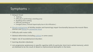 Symptoms :-
 Delayed Onset
 Walking ,
 Difficulty in performing a standing jump
 Waddling when walking
 Difficulty standing up
 Enlarged Calves ( Pseudo hypertrophy due to fat infiltration )
 Muscle contractures of Achilles tendon and hamstrings impair functionality because the muscle fibers
shorten and fibrose in connective tissue
 Difficulty with motor skills.
 Skeletal deformities (including scoliosis in some cases)
 Higher risk of neurobehavioral disorders
 learning disorders (dyslexia)
 non-progressive weaknesses in specific cognitive skills (in particular short-term verbal memory), which
are believed to be the result of absent or dysfunctional dystrophin in the brain.
 