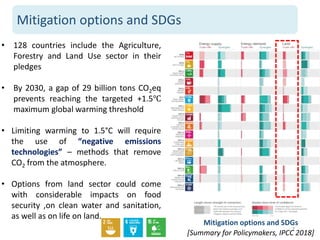 International soil carbon sequestration research 