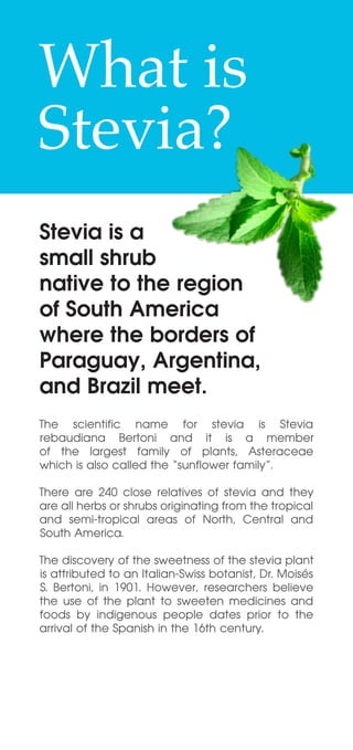 The scientific name for stevia is Stevia
rebaudiana Bertoni and it is a member
of the largest family of plants, Asteraceae
which is also called the “sunflower family”.
There are 240 close relatives of stevia and they
are all herbs or shrubs originating from the tropical
and semi-tropical areas of North, Central and
South America.
The discovery of the sweetness of the stevia plant
is attributed to an Italian-Swiss botanist, Dr. Moisés
S. Bertoni, in 1901. However, researchers believe
the use of the plant to sweeten medicines and
foods by indigenous people dates prior to the
arrival of the Spanish in the 16th century.
What is
Stevia?
Stevia is a
small shrub
native to the region
of South America
where the borders of
Paraguay, Argentina,
and Brazil meet.
 
