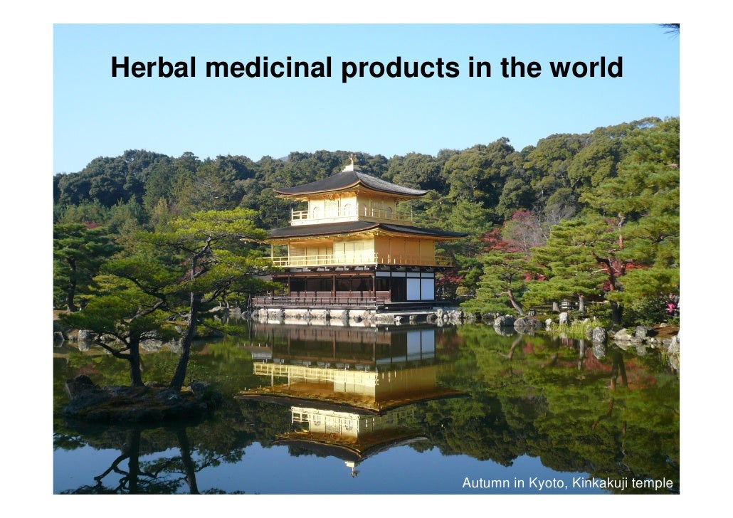 What is traditional Japanese Kampo medicine