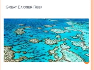 GREAT BARRIER REEF
 