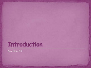 Section 01
 