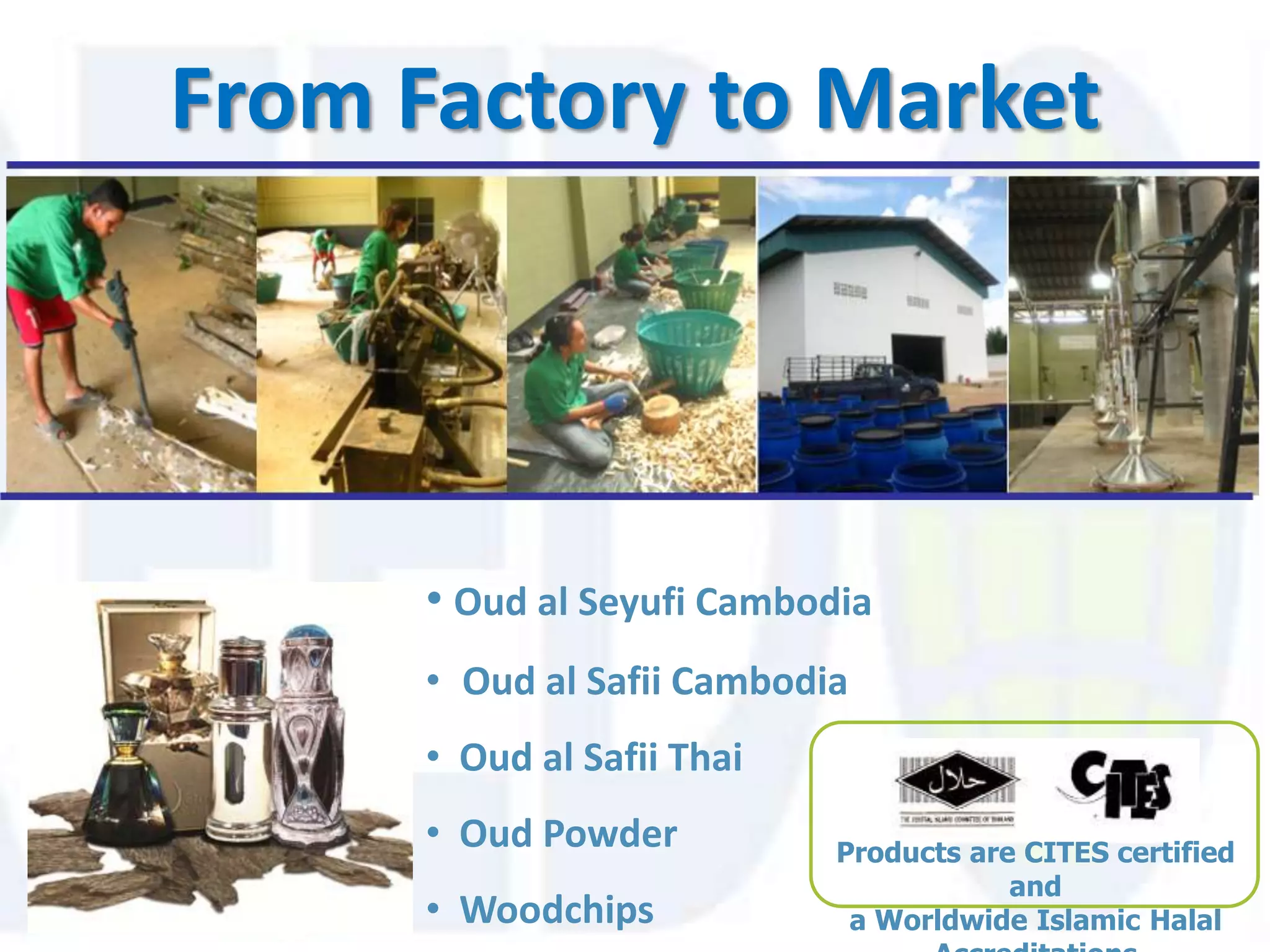 From Factory to Market




      • Oud al Seyufi Cambodia
      • Oud al Safii Cambodia
      • Oud al Safii Thai
      • Oud Powder          Products are CITES certified
                                        and
      • Woodchips            a Worldwide Islamic Halal
 