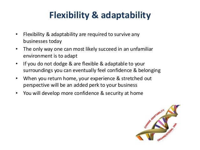 International work experience helps entrepreneurs succeed