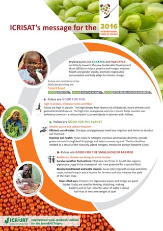 ICRISAT’s message for the
Dryland pulses like CHICKPEA and PIGEONPEA
contribute towards the new Sustainable Development
Goals (SDGs) to reduce poverty and hunger, improve
health and gender equity, promote responsible
consumption and help adapt to climate change.
Pulses are GOOD FOR YOU
High in protein, micronutrients and fiber
Pulses are high in protein. The high dietary fiber lowers risk of diabetes, heart ailments and
gastrointestinal diseases. The high iron, manganese and zinc content helps counter iron
deficiency anemia – a serious health issue worldwide in women and children.
Pulses are GOOD FOR THE PLANET
Smaller water and carbon footprint
Efficient use of water: Chickpea and pigeonpea need less irrigation and thrive on residual
soil moisture.
Improve soil health: Pulse crops fix nitrogen, increase soil microbe diversity, provide
green manure through leaf droppings and help conserve top soil. The less fertilizer
needed as a result of the naturally added nitrogen, means the carbon footprint is low.
Pulses are GOOD FOR THE SMALLHOLDER FARMER
Resilience, diverse use brings in extra income
Survive weather fluctuations: Chickpea can thrive in desert-like regions;
pigeonpea crops hit by unseasonal rain have potential for a second flush.
Diverse food basket and extra income: As an intercrop with cereals and other
crops, pulses bring in extra income for farmers and also increase the yield
of the main crop.
Smart Food
GOOD FOR YOU GOOD FOR THE PLANET GOOD FOR SMALLHOLDER FARMERS
Pulses can contribute to the
SDGs because they are
Diversified uses: Protein-rich pigeonpea leaves and forage are good
fodder. Stalks are used for fencing, thatching, making
	 baskets and as fuel. Calorific value of stalks is about
	 half that of the same weight of coal.
 