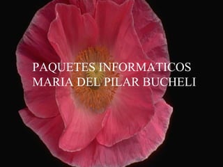 anonimus 18/11/09 PAQUETES INFORMATICOS MARIA DEL PILAR BUCHELI 