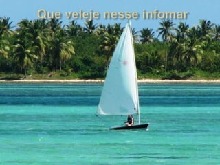 Que veleje nesse infomar